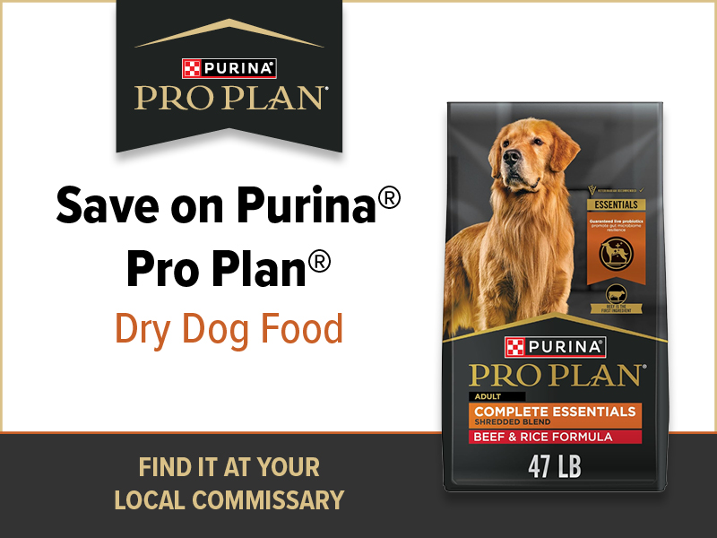 Purina_ROS_week2_May2025_800x600 image