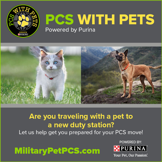 PCSwithPets_graphic image